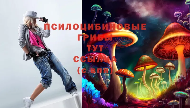 Галлюциногенные грибы MAGIC MUSHROOMS Георгиевск